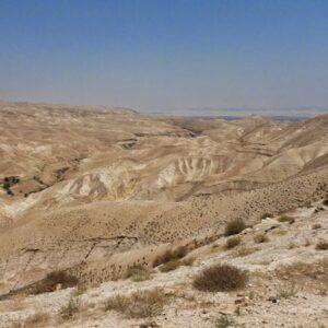 Blog 1 Wilderness in Israel